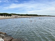 IMG_3370.jpeg