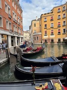 IMG_3453.jpeg