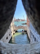 IMG_3559.jpeg