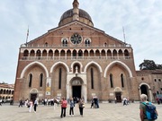 IMG_3599.jpeg